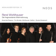 WOHLHAUSER: DIE FRAGMENTIERTE WAHRNEHMUNG