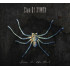 SPIDER ON THE WALL