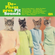 PIT SOUNDS
