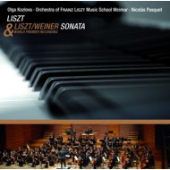 SONATA FOR PIANO IN B MINOR