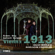 VIENNA 1913