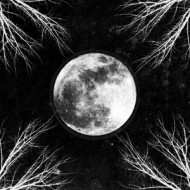 PALE MOON