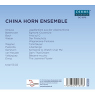 HORN FUSION