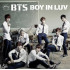 BOY IN LUV