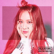 DDU-DU DDU-DU -ROSE-