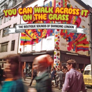 YOU CAN WALK ACROSS IT ON THE GRASS