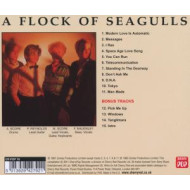 A FLOCK OF SEAGULLS