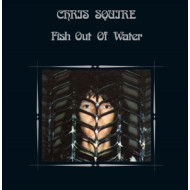 FISH OUT OF WATER