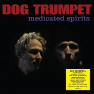 MEDICATED SPIRITS