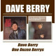 DAVE BERRY/ONE DOZEN BERR<br/><h5>Megjelenés: 2004-11-01</h5>