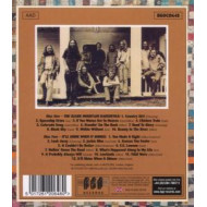 OZARK MOUNTAIN DAREDEVILS/IT'LL SHINE WHEN IT SHINES