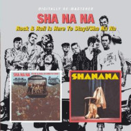 ROCK & ROLL IS HERE TO STAY!/SHA NA NA