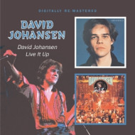 DAVID JOHANSEN/LIVE IT UP