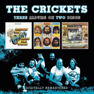 BUBBLEGUM, BOP, BALLAD AND BOOGIES/REMNANTS/A LONG WAY FROM LUBBOCK