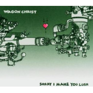 SORRY I MADE YOU LUSH