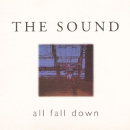 ALL FALL DOWN