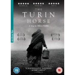 TURIN HORSE