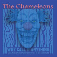 WHY CALL IT ANYTHING
