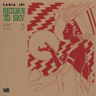 RETURN TO SKY