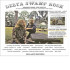 DELTA SWAMP ROCK - SOUNDS OF THE SOUTH: AT THE CROSSROADS OF ROCK, COUNTRY & SOUL