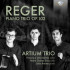 REGER: PIANO TRIO OP.102