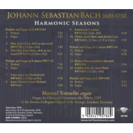 HARMONIC SEASONS