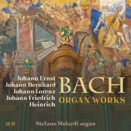 ORGAN WORKS