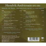 HENDRIK ANDRIESSEN: MIROIR DE PEINE