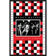 LIVE AT THE CHECKERBOARD LOUNGE CHICAGO 1981