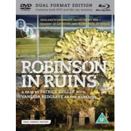 ROBINSON IN RUINS