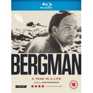 BERGMAN: A YEAR IN A LIFE