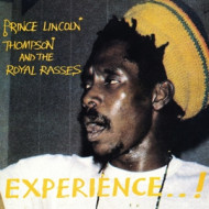 EXPERIENCE
