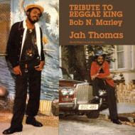 TRIBUTE TO REGGAE KING BOB N. MARLEY