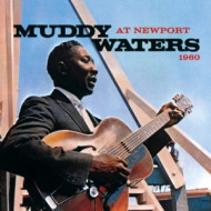 AT NEWPORT 1960/ MUDDY WATERS SINGS BIG BILL