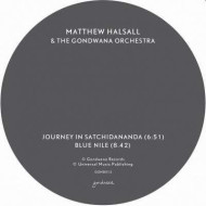 JOURNEY IN SATCHIDANANDA / BLUE NILE