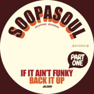 7-IF IT AIN'T FUNKY BACK IT UP