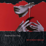 WE'VE EEN THROUGH