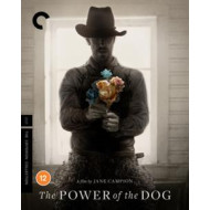 POWER OF THE DOG