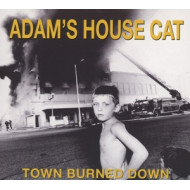 TOWN BURNED DOWN