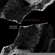 FRACTIONATED
