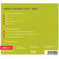SCHUBERT VOL. 3