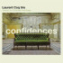 CONFIDENCES
