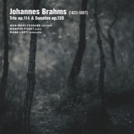 BRAHMS TRIO OP. 114 SONATES OP. 120