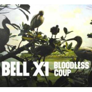 BLOODLESS COUP