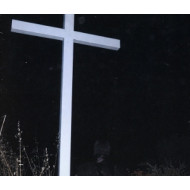 I LAY DOWN MY LIFE FOR YOU