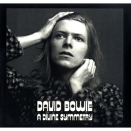 A DIVINE SYMMETRY
