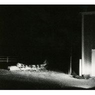 LAST BUILDING BURNING