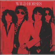 WILD HORSES