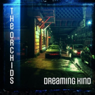 DREAMING KIND