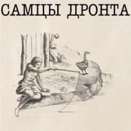 SAMTSI DRONTA